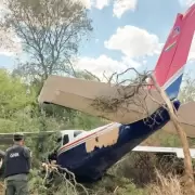 Gendarmera encontr 130 kilos de cocana en una avioneta de Bolivia que cay en Salta