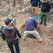 Detuvieron a los pilotos tras la ca�da de la avioneta narco en Salta