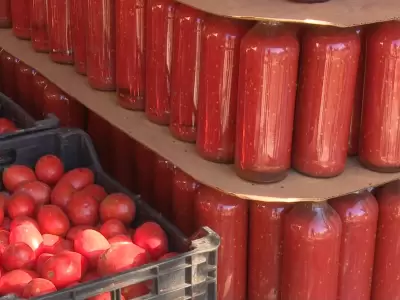 Botulismo en conservas: Advierten que los tomates actuales son menos �cidos y multiplican el riesgo casero.