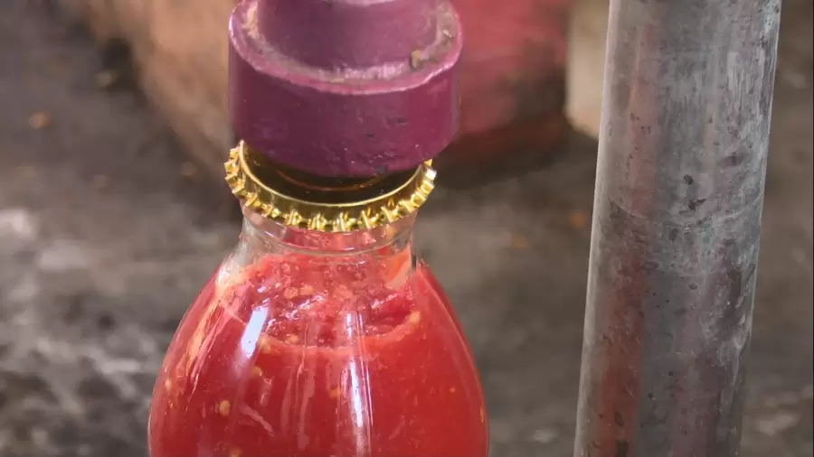Botulismo en conservas: Advierten que los tomates actuales son menos ácidos y multiplican el riesgo casero.