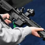 Mitos y verdades de la habilitación para que los civiles compren armas semiautomáticas en Argentina