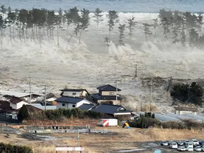 Alerta de tsunami en Jap�n
