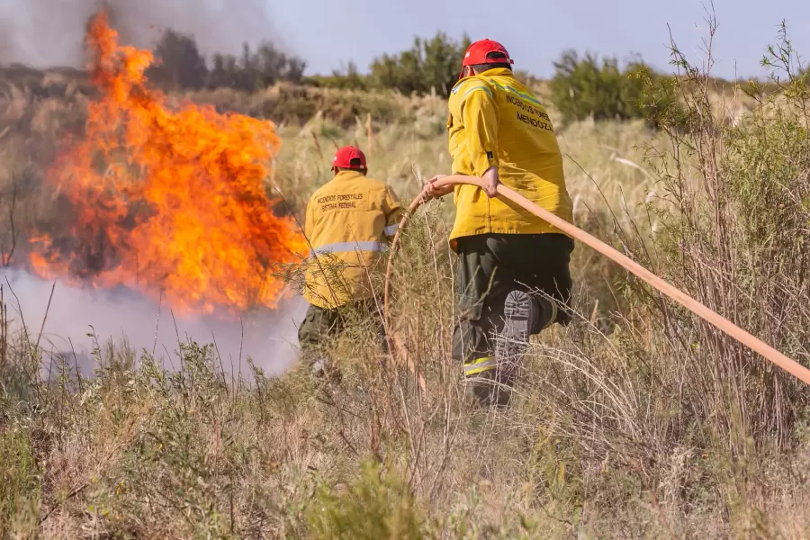 Caracter�sticas del secano mendocino