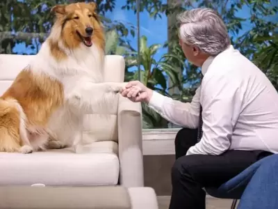 La despedida de Dylan expresa un lazo que traspas� la funci�n p�blica de Fern�ndez, convirtiendo al perro en su "compa�ero" emocional.