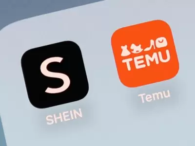 Temu y Shein