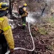 Río Negro: Weretilneck declaró la Emergencia Ígnea para prevenir los incendios forestales