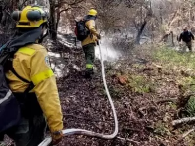 Incendios forestales