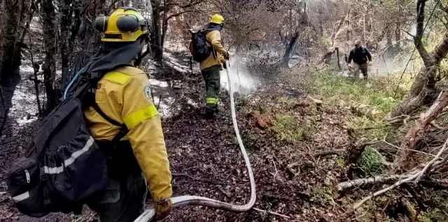 Incendios forestales