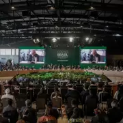 COP 30: Brasil lanza el primer plan mundial de adaptacin climtica enfocado en la salud