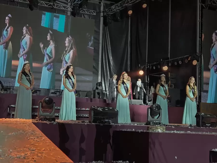 Vendimia de San Carlos/ Fuente: Prensa