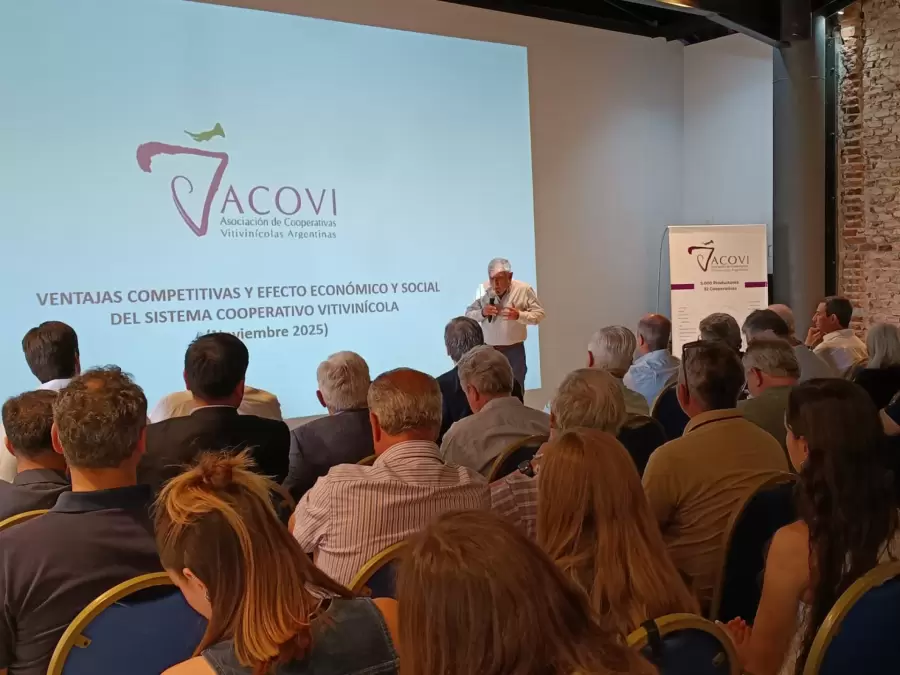 imagen de whatsapp 2025-11-17 a las 13.52.50_98b16470