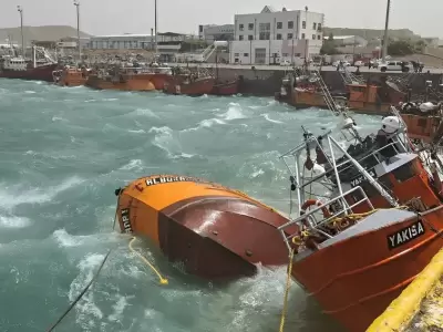 Daos en el Caleta Olivia