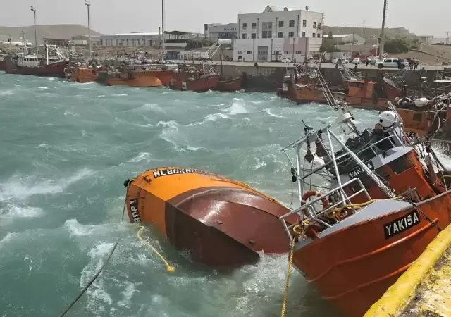 Daos en el Caleta Olivia