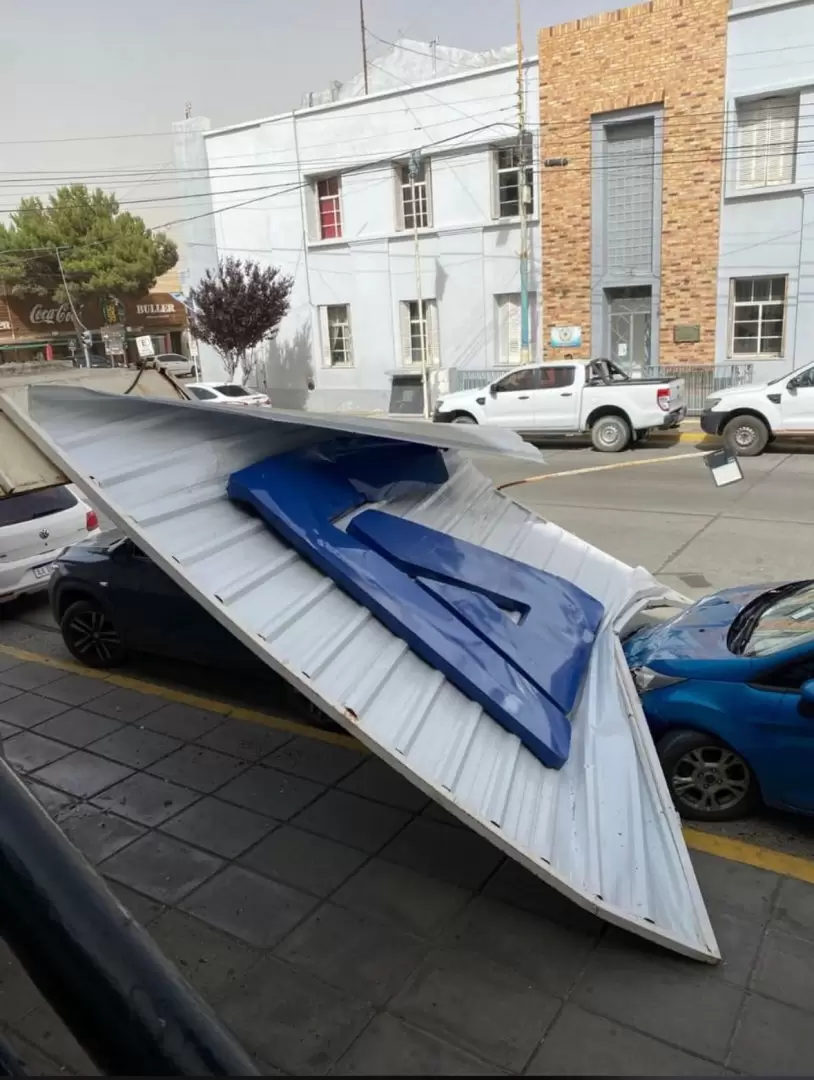 Elpeligro de los carteles cados