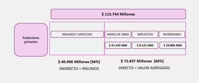 peso económico