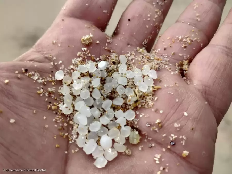 Presencia de microplásticos en el hielo