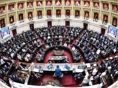 C�mara de Diputados.