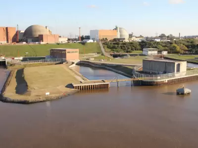 �Sab�as que Argentina perdi� 360 MW de potencia continua con la detenci�n de Atucha I? Se espera su reincorporaci�n en 2027.