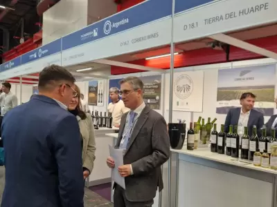 Vinos a granel