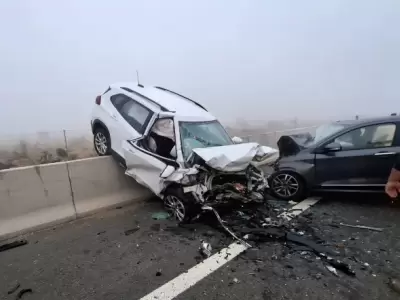 Accidente en Chile/ Fuente: Medios chilenos