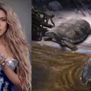 Descubren la 'Shakira' de las Tortugas F�siles en Colombia