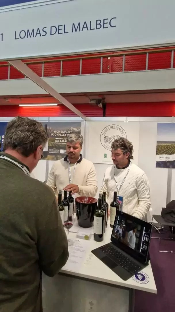 Vinos a granel