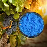 Cobre mendocino de San Romeleo busca favorecer a la vid y estabilizar los precios