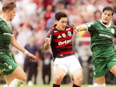 Palmeiras y Flamengo buscar�n un nuevo t�tulo continental.
