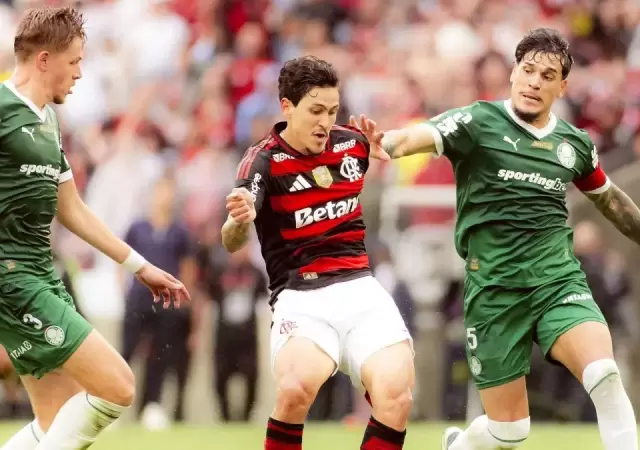 Palmeiras y Flamengo buscar�n un nuevo t�tulo continental.