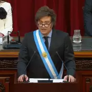 Javier Milei sacude las encuestas: el 38% de intenci�n de voto lo mantiene como el gran favorito