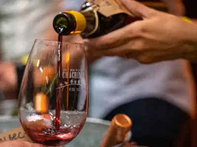 Chachingo Wine Fair