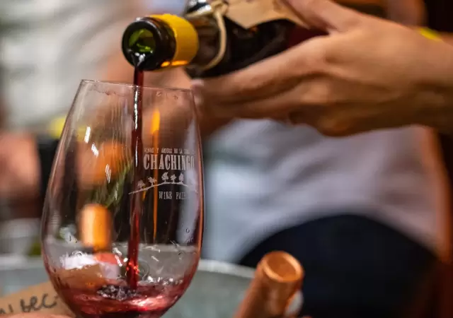 Chachingo Wine Fair