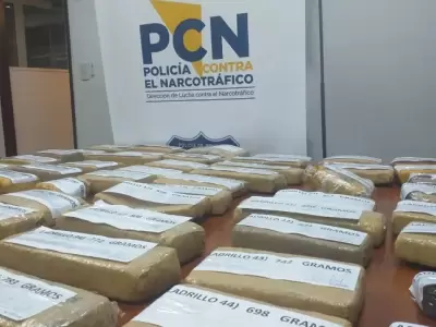 Megaoperativo anti drogas