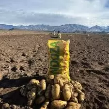 Producci�n de papas
