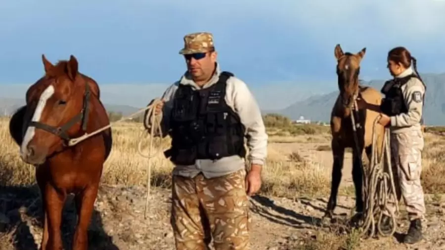 "El incremento que notamos viene de la faena clandestina de animales de ganado mayor, como ocurre con el ganado bovino y equino" (A. R�os)