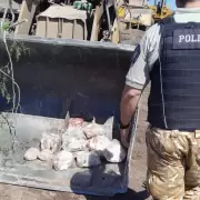 Abigeato: c�mo hizo Mendoza para incautar m�s de 12 toneladas de carne de procedencia dudosa