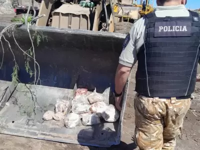 A la fecha se han superado las 12 toneladas de carne secuestrada en diferentes procedimientos realizados en toda la provincia de Mendoza.