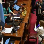 Bullrich: "Juntaremos los votos" tras el cruce institucional con Villarruel en el Senado