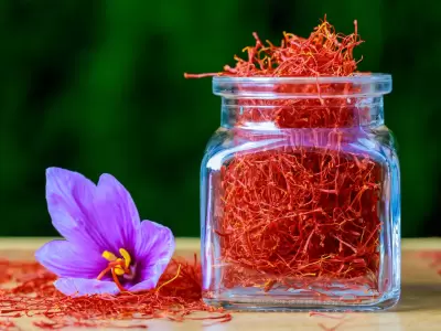 Azafr�n en hebras, un producto muy codiciado