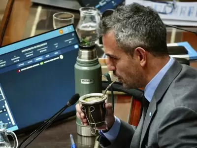 Mart�n Menem mantuvo la presidencia