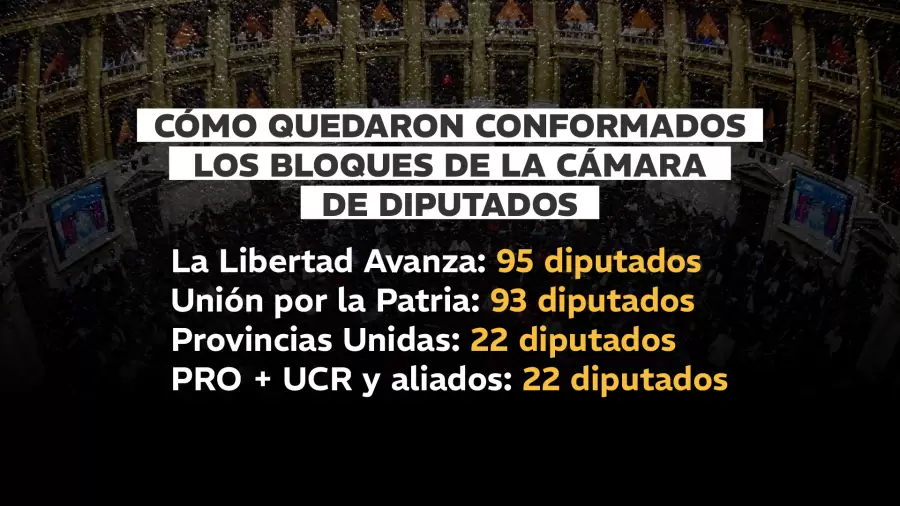 Bloque Diputados