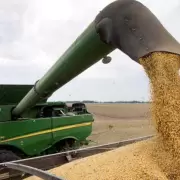 Baja de retenciones al agro: las bolsas de cereales y de comercio apoyaron la medida