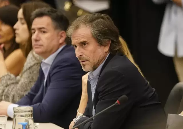 Benegas Lynch confirmado al frente de la comisi�n