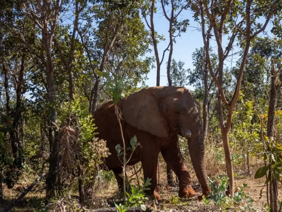 Kenya/