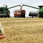 Nuevo R�gimen Cambiario: Impacto en el Campo y Retenciones