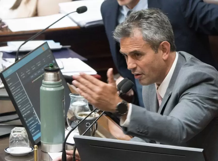 Mart�n Menem, presidente de la C�mara