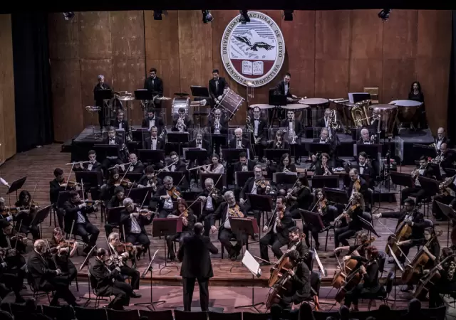La Sinf�nica UNCUYO busca solistas de corno y clarinete.