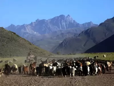Los puesteros llevan m�s de 100 a�os trabajando la tierra.