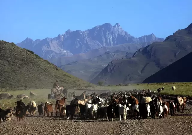 Los puesteros llevan m�s de 100 a�os trabajando la tierra.