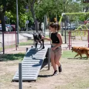 Godoy Cruz abre nueva plaza canina: veterinaria gratis y castraciones